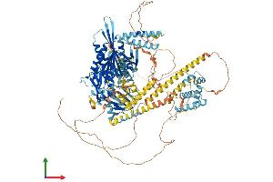 AlphaFold protein structure predicition of Human Recombinant KIF1C Protein, UniprotID O43896