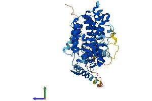 AlphaFold protein structure predicition of Mouse Recombinant Sesn1 Protein, UniprotID P58006