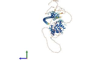 AlphaFold protein structure predicition of Mouse Recombinant Arhgap22 Protein, UniprotID Q8BL80