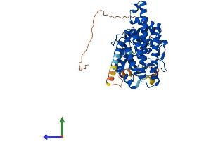 AlphaFold protein structure predicition of Human Recombinant CHKA Protein, UniprotID P35790