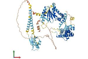AlphaFold protein structure predicition of Mouse Recombinant Spg7 Protein, UniprotID Q3ULF4