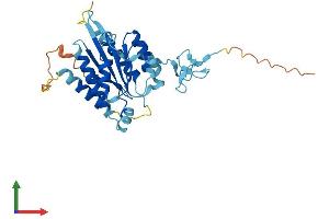 AlphaFold protein structure predicition of Human Recombinant GTF2H3 Protein, UniprotID Q13889