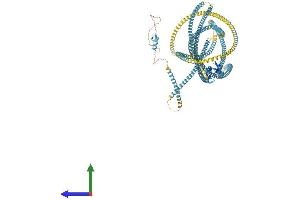AlphaFold protein structure predicition of Mouse Recombinant Eea1 Protein, UniprotID Q8BL66
