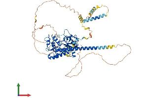 AlphaFold protein structure predicition of Mouse Recombinant Hs6st2 Protein, UniprotID Q80UW0