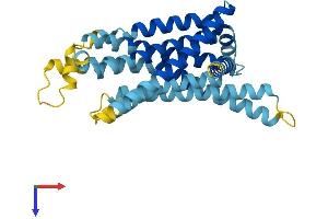 AlphaFold protein structure predicition of Mouse Recombinant Tas2r7 Protein, UniprotID P59530