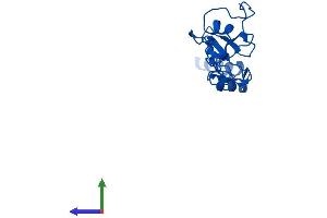 AlphaFold protein structure predicition of Human Recombinant NDUFA12 Protein, UniprotID Q9UI09