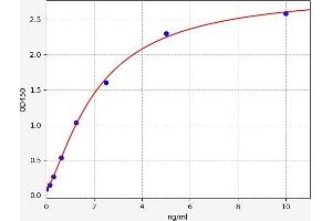 Typical standard curve (ELOVL1 Kit ELISA)