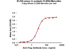 Elisa plates were pre-coated with Flag Tag C-Nanodisc (0.
