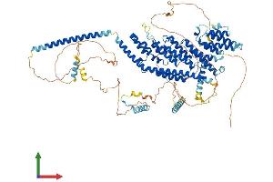 AlphaFold protein structure predicition of Mouse Recombinant Paxbp1 Protein, UniprotID P58501