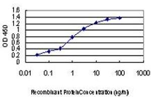 Detection limit for recombinant GST tagged TP53RK is approximately 0. (TP53RK anticorps  (AA 154-253))
