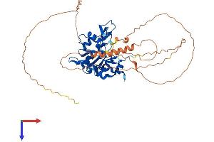AlphaFold protein structure predicition of Human Recombinant CTDSPL2 Protein, UniprotID Q05D32