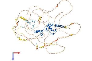 AlphaFold protein structure predicition of Human Recombinant DNTTIP2 Protein, UniprotID Q5QJE6