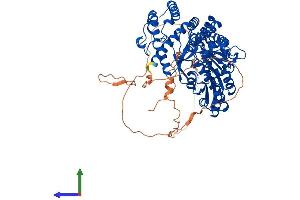 AlphaFold protein structure predicition of Human Recombinant HDC Protein, UniprotID P19113