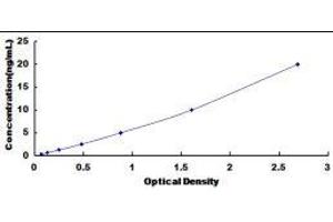 Jun B Proto-Oncogene (JUNB) ELISA Kit