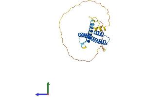 AlphaFold protein structure predicition of Human Recombinant HES6 Protein, UniprotID Q96HZ4