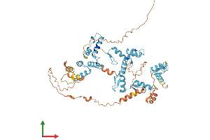 AlphaFold protein structure predicition of Human Recombinant ZKSCAN3 Protein, UniprotID Q9BRR0