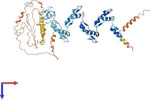 AlphaFold protein structure predicition of Human Recombinant ZNF677 Protein, UniprotID Q86XU0