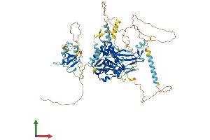 AlphaFold protein structure predicition of Human Recombinant USP16 Protein, UniprotID Q9Y5T5