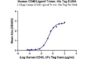 Immobilized Human CD40 Ligand Trimer, His Tag at 0.