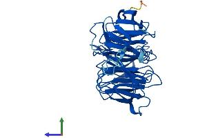 AlphaFold protein structure predicition of Human Recombinant WDR45B Protein, UniprotID Q5MNZ6