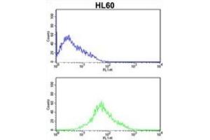 Flow Cytometry (FACS) image for anti-Protein Kinase, Interferon-Inducible Double Stranded RNA Dependent Activator (PRKRA) antibody (ABIN3003466)