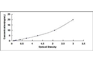 Typical standard curve (APOBEC3B Kit ELISA)