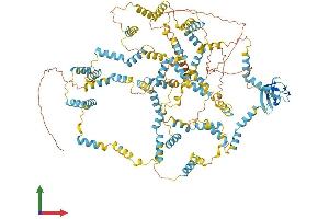 AlphaFold protein structure predicition of Human Recombinant NEBL Protein, UniprotID O76041