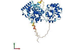 AlphaFold protein structure predicition of Human Recombinant PIGA Protein, UniprotID P37287