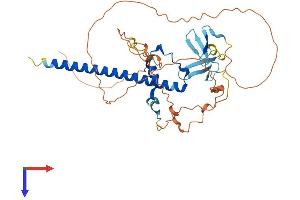 AlphaFold protein structure predicition of Human Recombinant SAV1 Protein, UniprotID Q9H4B6