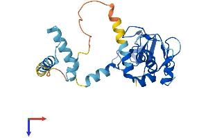 AlphaFold protein structure predicition of Human Recombinant BIRC8 Protein, UniprotID Q96P09
