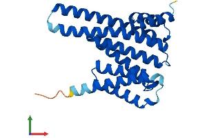 AlphaFold protein structure predicition of Human Recombinant YWHAG Protein, UniprotID P61981