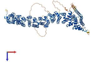 AlphaFold protein structure predicition of Human Recombinant VAC14 Protein, UniprotID Q08AM6