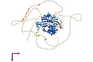 AlphaFold protein structure predicition of Mouse Recombinant Dclre1c Protein, UniprotID Q8K4J0