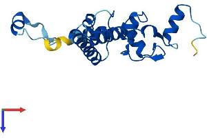 AlphaFold protein structure predicition of Human Recombinant IMP3 Protein, UniprotID Q9NV31