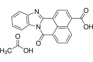Chemical structure of STO 609 , a CAMKK kinase inhibitor.