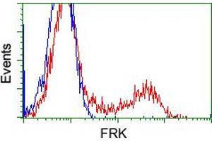 HEK293T cells transfected with either pCMV6-ENTRY FRK (RC204460) (Red) or empty vector control plasmid (Blue) were immunostained with anti-FRK mouse monoclonal (ABIN2452598, Dilution 1:1,000), and then analyzed by flow cytometry. (FRK anticorps)