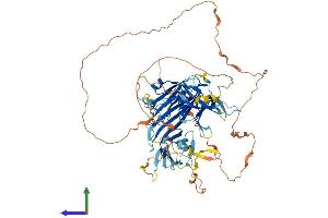 AlphaFold protein structure predicition of Human Recombinant STON1 Protein, UniprotID Q9Y6Q2