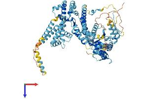 AlphaFold protein structure predicition of Mouse Recombinant Orc3 Protein, UniprotID Q9JK30