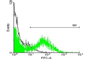 FACS analysis of ES-2 cells stained with STIP1 monoclonal antibody clone 2E11 (Green) and non-stained ES-2 cells (Black) as negative control.