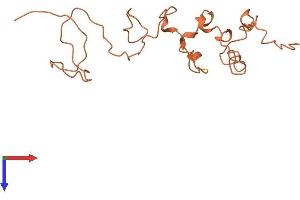 AlphaFold protein structure predicition of Human Recombinant KRTAP5-9 Protein, UniprotID P26371