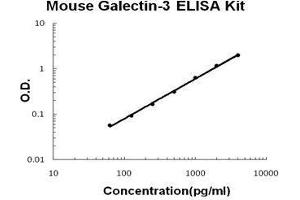 Mouse Galectin-3/LGALS3 PicoKine ELISA Kit standard curve (Galectin 3 Kit ELISA)