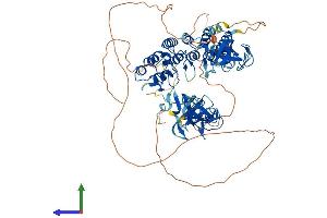 AlphaFold protein structure predicition of Mouse Recombinant Clip4 Protein, UniprotID Q8CI96