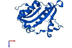 AlphaFold protein structure predicition of Human Recombinant GNPNAT1 Protein, UniprotID Q96EK6