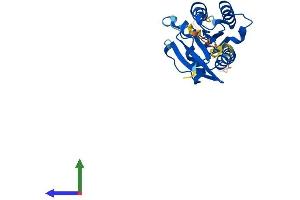 AlphaFold protein structure predicition of Mouse Recombinant Rab20 Protein, UniprotID P35295