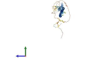 AlphaFold protein structure predicition of Mouse Recombinant Blzf1 Protein, UniprotID Q8R2X8