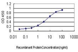 Detection limit for recombinant GST tagged FBXO22 is approximately 0.