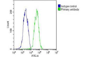 Overlay histogram showing HepG2 cells stained with Antibody (green line).