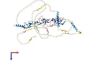 AlphaFold protein structure predicition of Mouse Recombinant Lpp Protein, UniprotID Q8BFW7