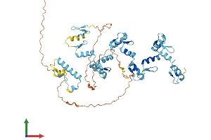 AlphaFold protein structure predicition of Human Recombinant ZNF419 Protein, UniprotID Q96HQ0