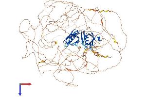 AlphaFold protein structure predicition of Human Recombinant IRS2 Protein, UniprotID Q9Y4H2